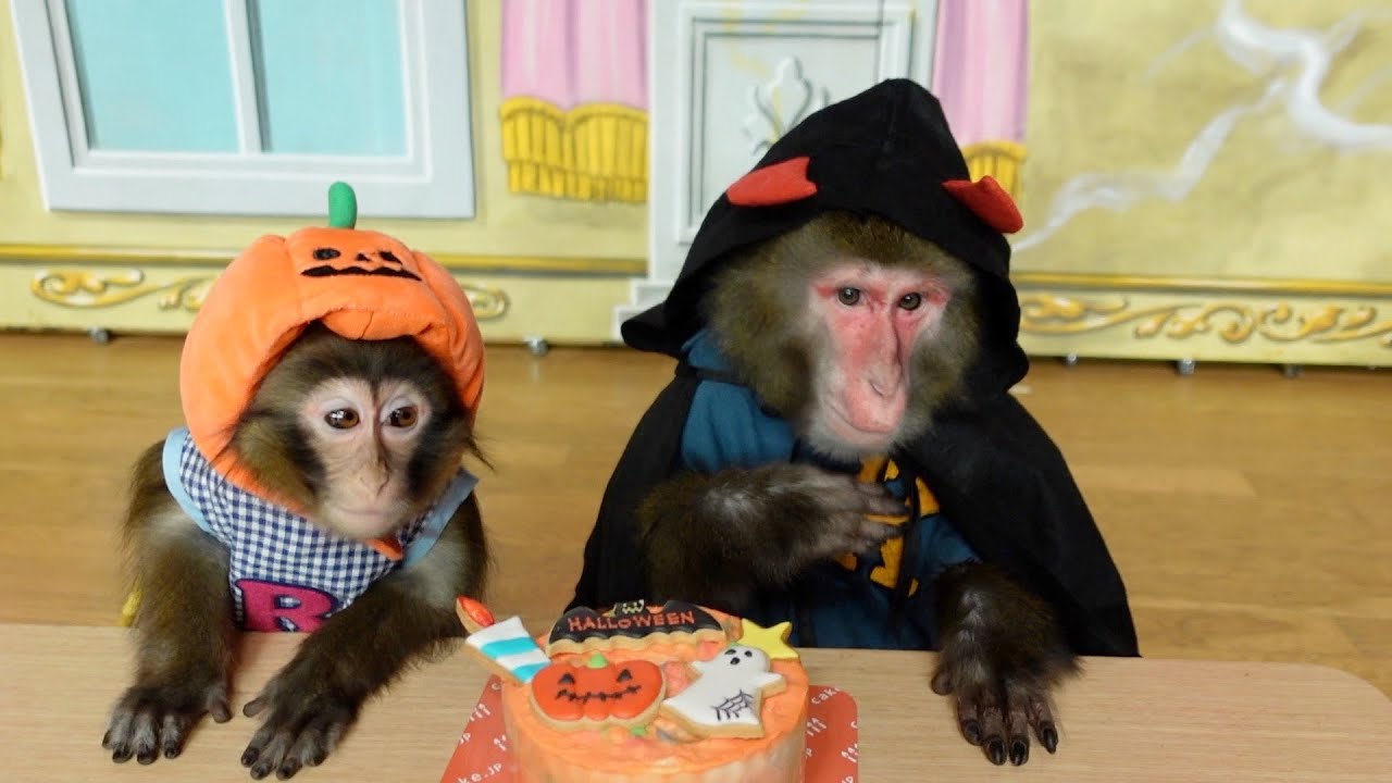 A monkey enjoying Halloween but something seems a bit strange