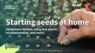 Starting seeds at home | #GoodGrowing