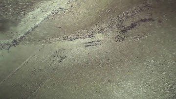 Voyager C50 HD Video Borescope Footage #videoscope #inspectioncamera #motorized #articulation