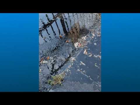 Residents say raw sewage has spilled from apartment vents for years