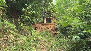 D6R XL Bulldozer Road Service, A Crucial Step for Plantation Roads