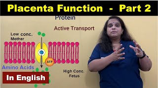 Functions of Placenta Part - 2 in English | Nutritive & Enzymatic Functions | Nursing Lecture