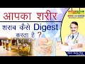 आपका शरीर शराब कैसे  Digest करता है ? || BASICS OF HOW THE BODY  PROCESSES ALCOHOL