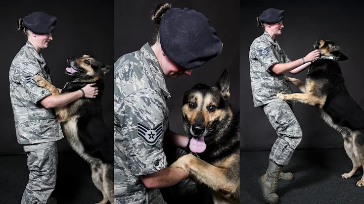 Osan Partners in Crime