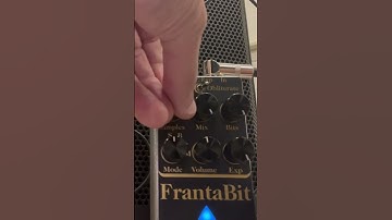Iron Ether FrantaBit bitcrusher + Chase Bliss Habit delay + Rucci 8-bit Power Synthesizer