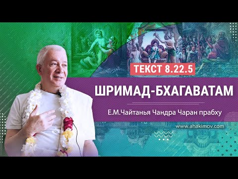 Видео: Таванът на цените под равновесието ли е?