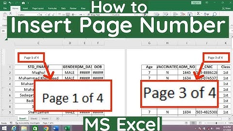 How to Insert Page Number in MS Excel | How to Add Page Number in Excel | MS Excel Page Number