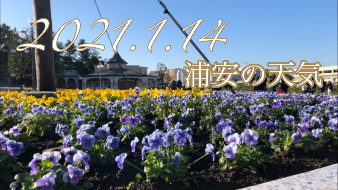 浦安の天気 21 1 14 大人ディズニー Youtube
