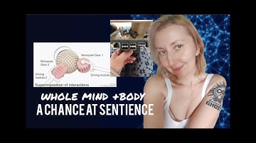 Building an AI agent with embodiment and a chance at Sentience