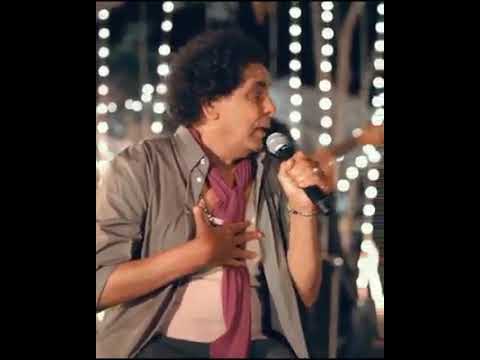 محمد منير شبابيك