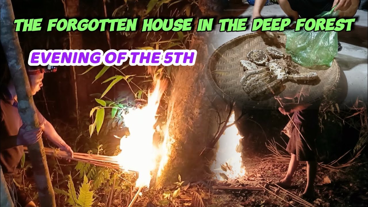 Repairing an abandoned house in the deep woods. Day 5 evening.