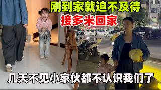 还没到家梓悦就迫不及待把多米接回来，出门几天被小安照顾的很好，小家伙都不认识我们了 screenshot 4
