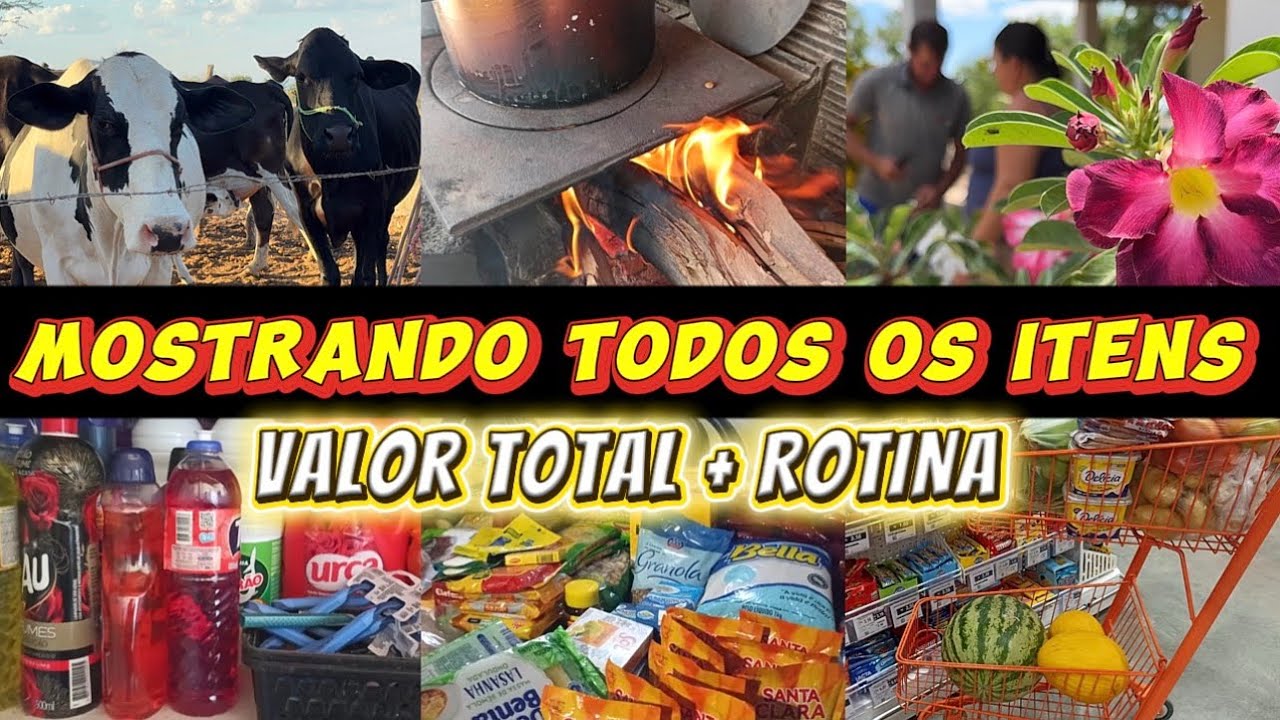 MOSTREI TUDO + VALOR TOTAL DA COMPRA + ROTINA DE UMA DONA DE CASA NO SERTÃO 