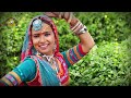 O Pillo Mounika Full Song With Lyrics | Best Telangana DJ Folk Songs | Ravi Nayak | Mango Music Mp3 Song