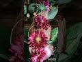 चौथी माळ लाल फुलांची, Ghatstapana, navratra #navratra #ghatstapana