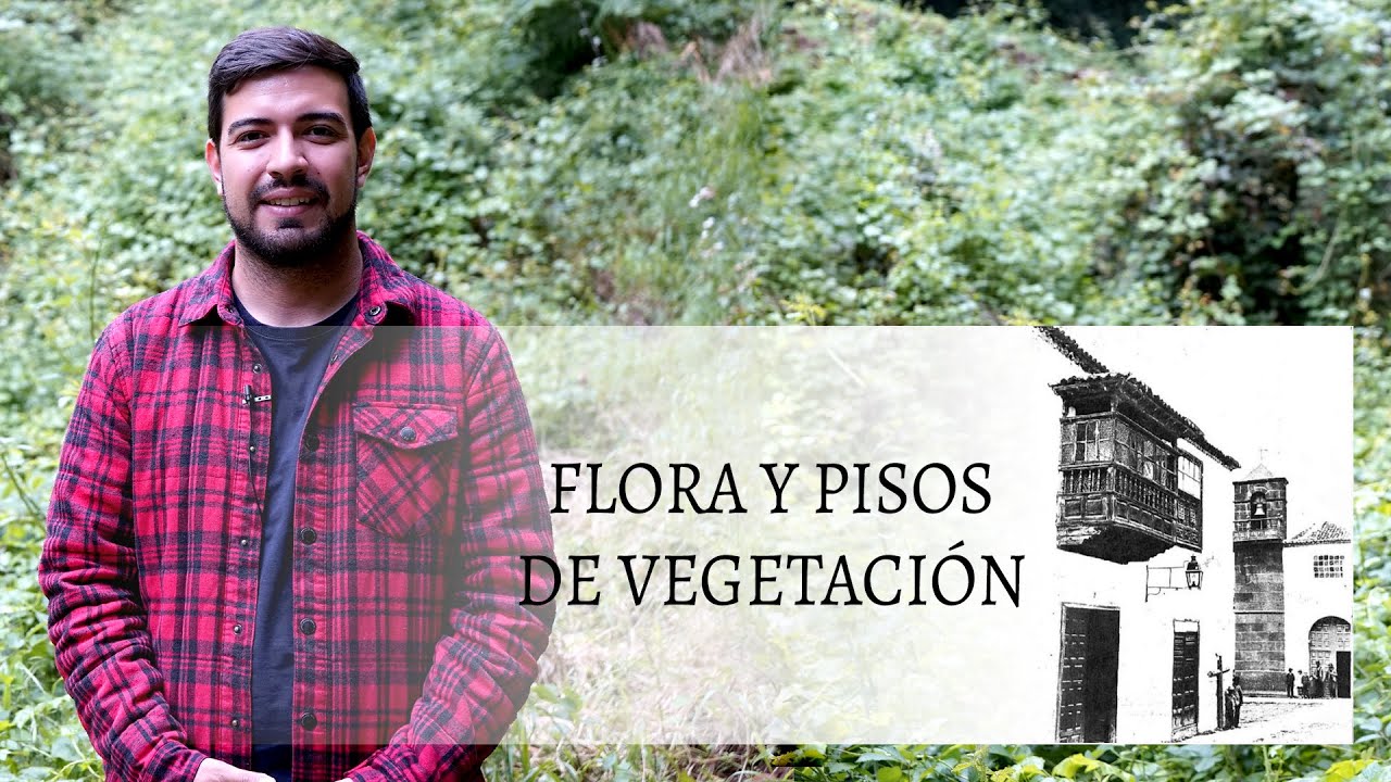 34 FLORA Y PISOS DE VEGETACIÓN. San Juan de la Rambla, Señas de Identidad de un Pueblo