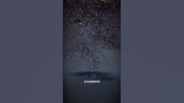 New Capcut Effect Roblox