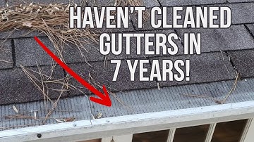 Honest 7 Year Review of Micromesh RAPTOR GUTTER GUARDS | DIY Stainless Steel Mesh (AKA Leafs Out)