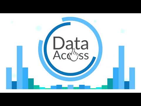 Insights Reports - Data Visualization