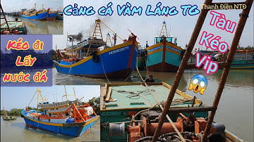 Cảng cá Vàm Láng TG🍀đây là cảnh ghe đi lấy nước đá mỗi khi tết đến|Tàu kéo huyền thoại