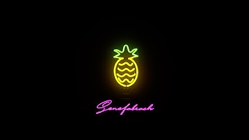 SON OF A BEACH | THE POLARITY | OFFICIAL MUSIC VIDEO