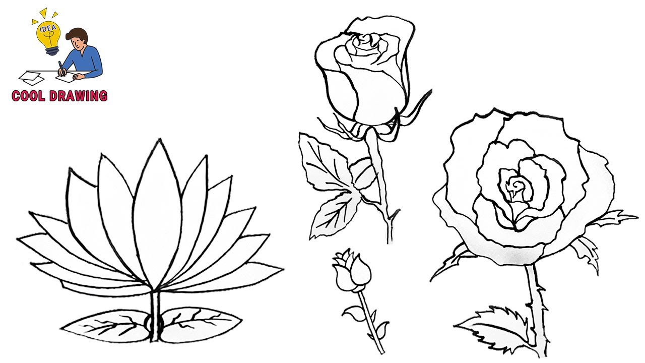 Beautiful Flower Drawings  200 Pictures to Sketch