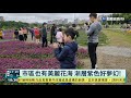 紫色花季來臨! 國內賞最美花海免出國｜華視新聞 20210307