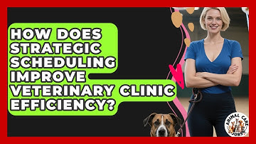 How Does Strategic Scheduling Improve Veterinary Clinic Efficiency? - Animal Care Jobs