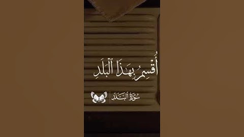 سورة البلد للشيخ محمود صديق المنشاوي ♥️✨ #قران_كريم #quran #منشاوي