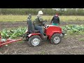 Минитрактор - переломка.Уборка капусты. Minitractor-fracture.Cabbage harvesting