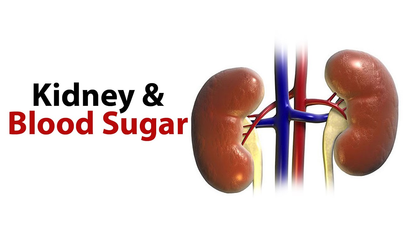 Effects Of Blood Sugar Level On Kidney YouTube Effects Of Blood Sugar Level On Kidney YouTube