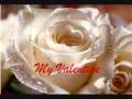My Valentine - Martina McBride.. with lyrics!!!!!