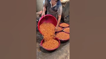 Salted Peanuts Making 🥜