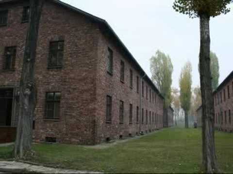 Lessons From Auschwitz-Birken...
