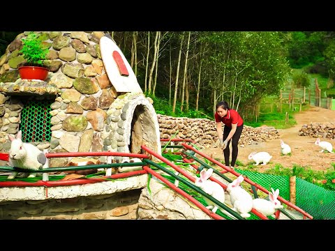 Building Stone House For Rabbit - Raise Rabbit - Build Farm Life With Many Stone 