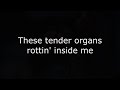 Amythyst Kiah​​​ - Tender Organs (Lyrics video)