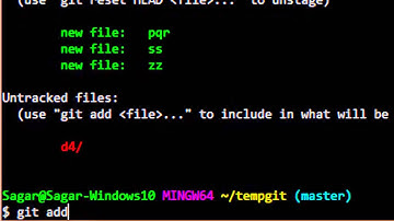 How to add all files in directory in Git