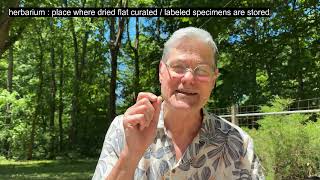 Plant ID 1 - Welcome and Introduction to the Channel