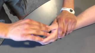 Extensor Pollicis Longus & Brevis screenshot 3