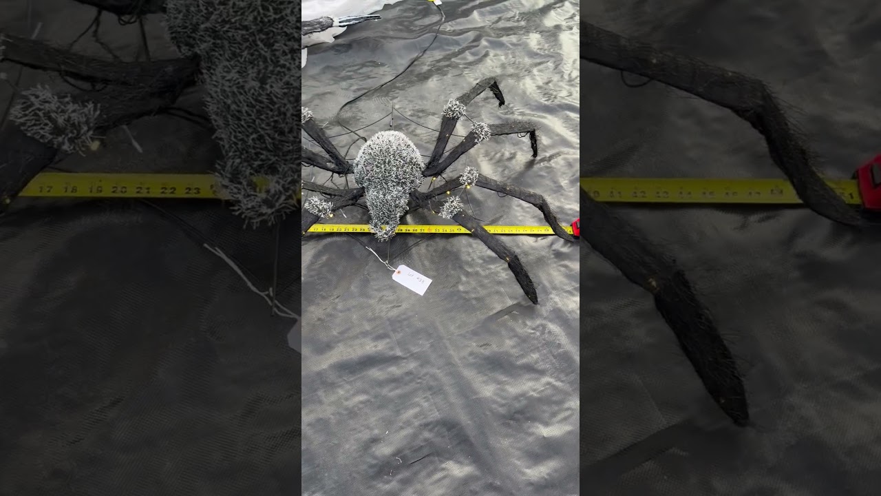 Light Up Animatronic Halloween Spider - Up For Auction