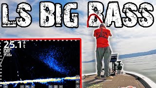 BASS Fishing With LIVESCOPE! They CRUSH This BAIT! (Loaded &amp; Engine Pro 2.0 E-Bike Review)