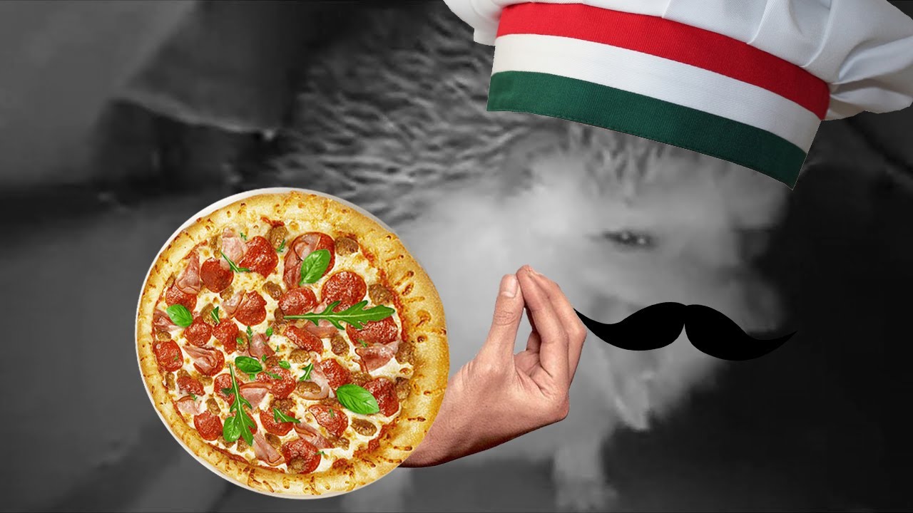 ежик чихнул но попал в италию| ежик чихает и попадает в страны мира, на ...