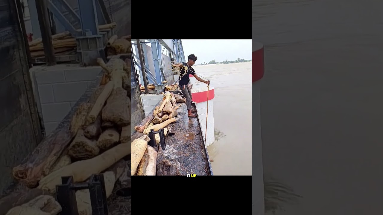 Nepalese Locals Salvaging Driftwood for Income and Dam Protection