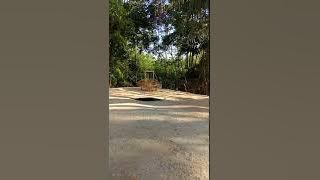 Pikat terbaik klatik batu km. 6