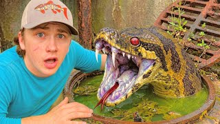 Я нашёл канализацию, кишащую смертельно опасными змеями!