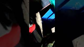 My Profomens My Vellg Dance