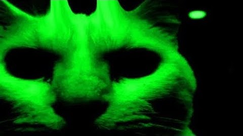 slap aura, anti-void