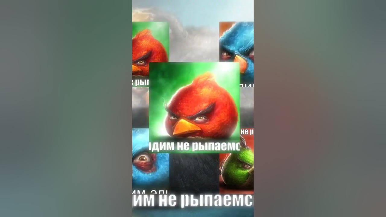 #сидим #не #рыпаемся - YouTube