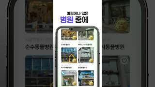 서울 #동물병원 의 25%가 #송파 #강남 #서초 에 있다고!? #동물병원진료비 #강남동물병원 #송파동물병원 #서초동물병원
