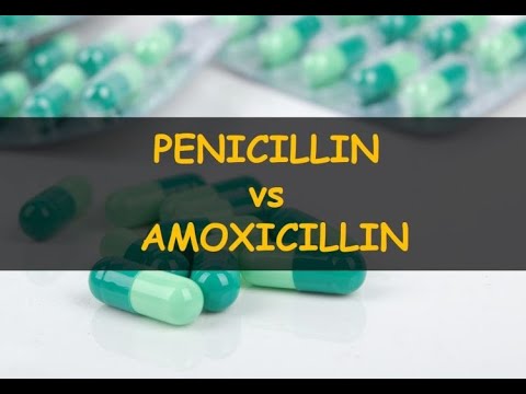 Video: Zijn penicilline en amoxicilline hetzelfde?